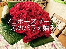 赤薔薇サムライ使用